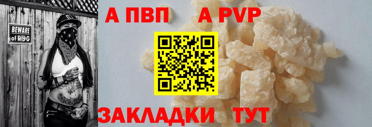 A-PVP СК Гудермес
