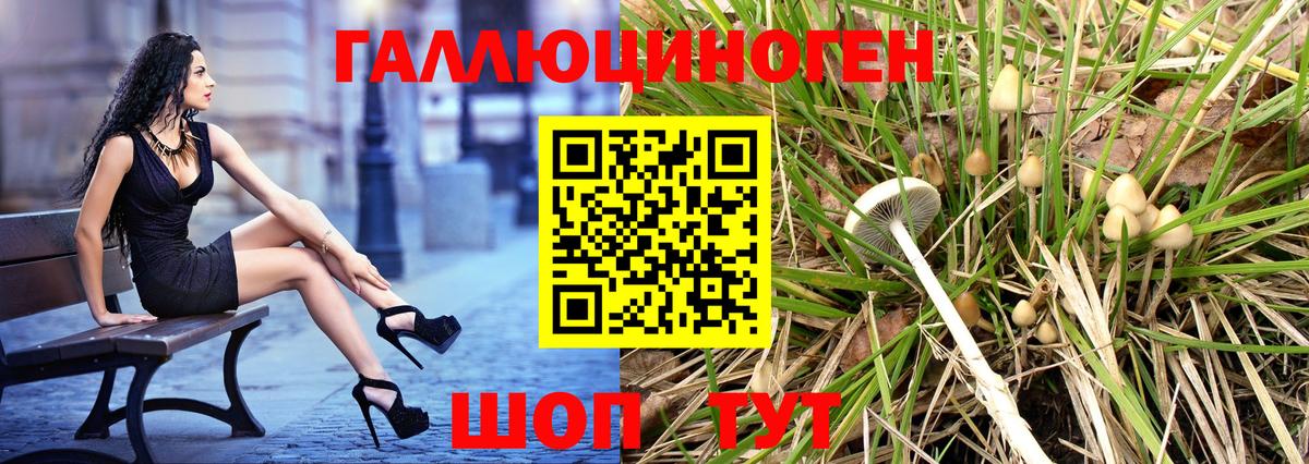 Галлюциногенные грибы Cubensis  Псилоцибиновые грибы мухоморы  Вход с VPN  Гудермес 