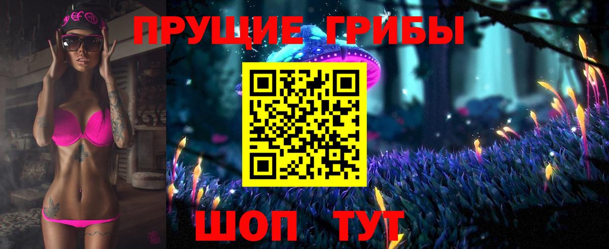 Псилоцибиновые грибы мицелий Гудермес